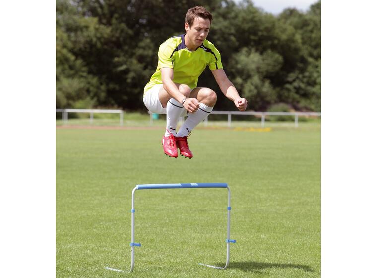 Return Training Hurdle Mini 
