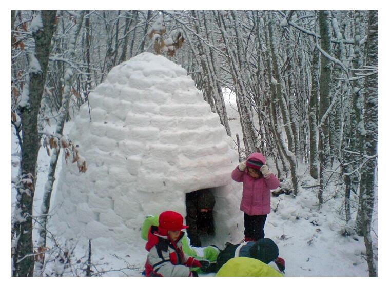 Snøiglolager 