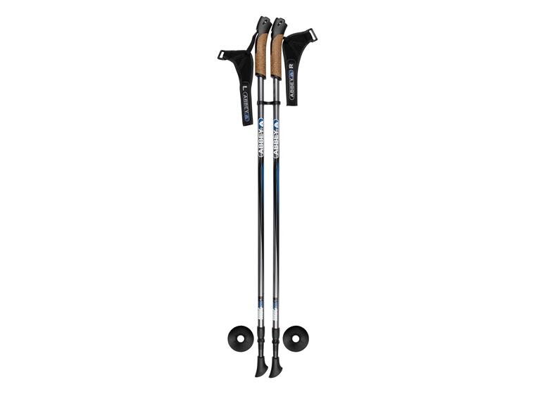 Hiking cane 
