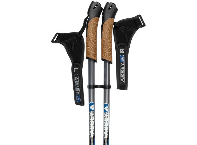 Hiking cane 