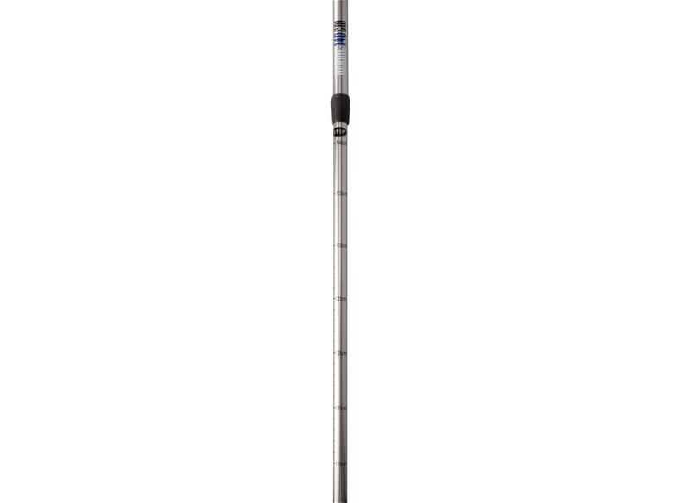 Hiking cane 