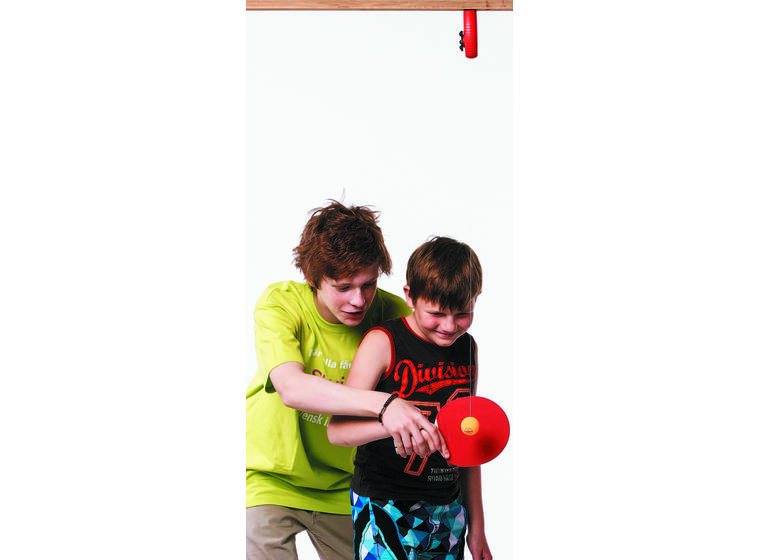 Swing Ping Pong 