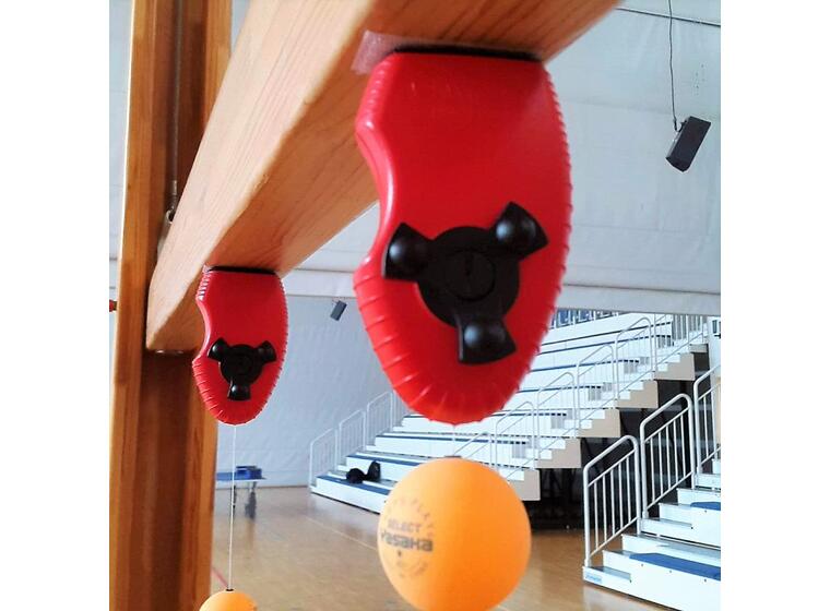 Swing Ping Pong 