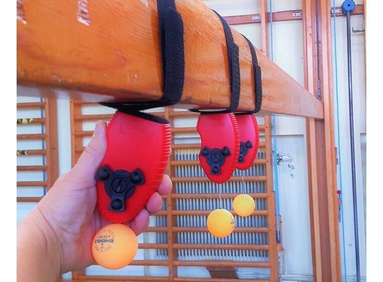 Swing Ping Pong 