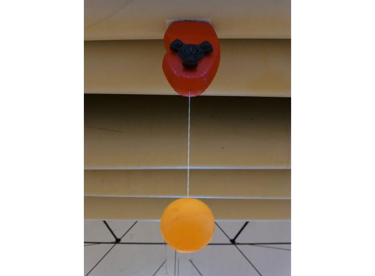 Swing Ping Pong | Pöytätennispallo Narun pituus: 0-230 cm 