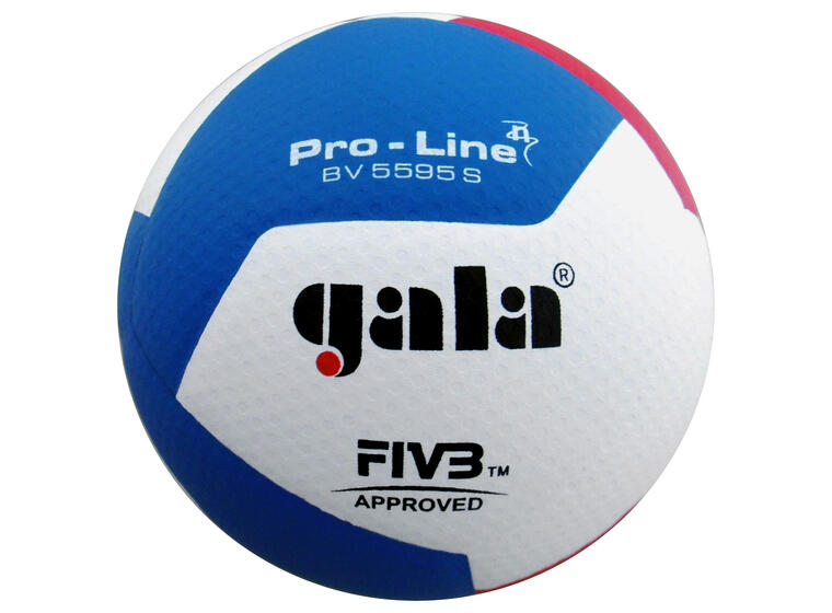 Gala Volleyball Pro-Line BV5595S 