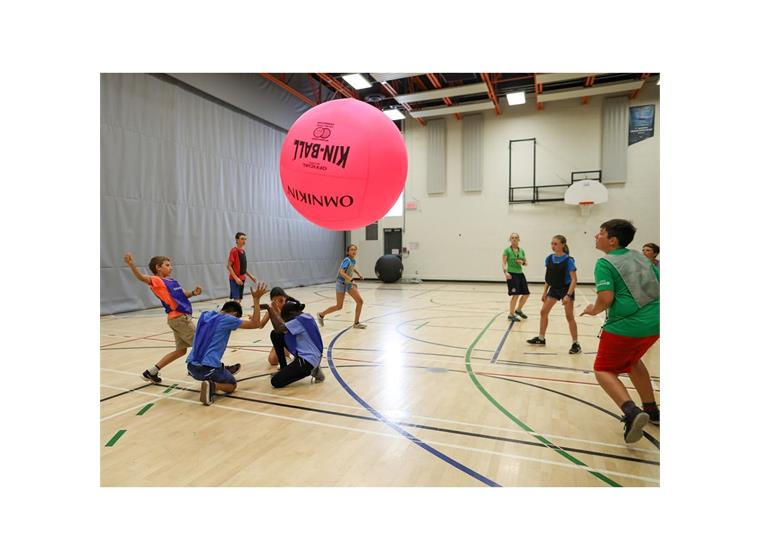 KIN-BALL®  Sport - Pinkki 122 cm - Sisäkäyttöön