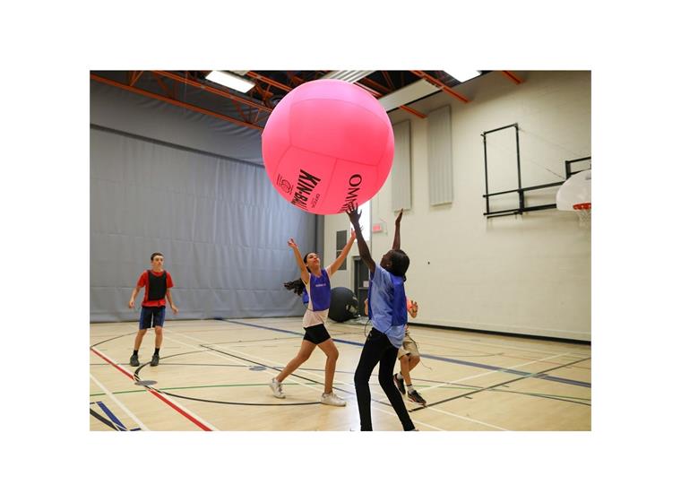 KIN-BALL®  Sport - Pinkki 122 cm - Sisäkäyttöön