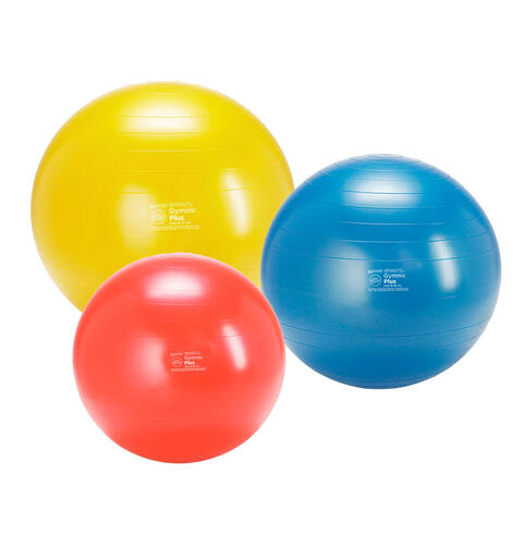 Gymnic Plus