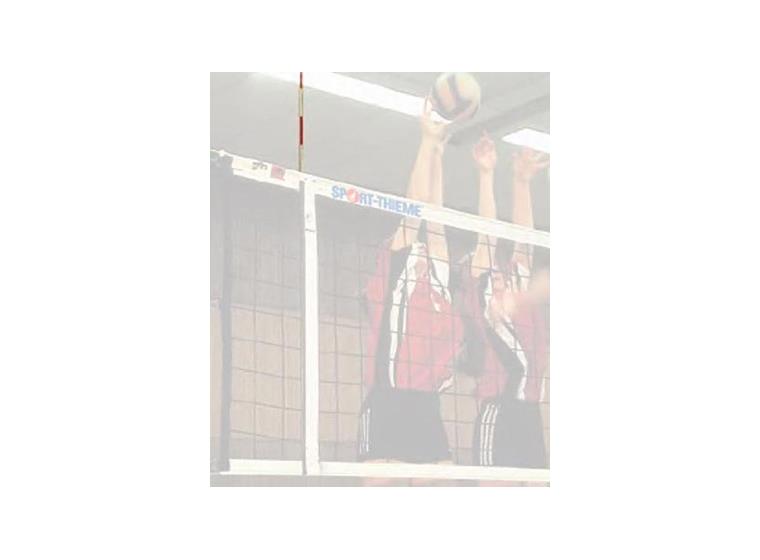 DVV Volleyball Antennae 2 pieces 
