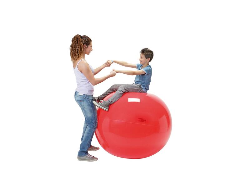 Gymnic Physio 120 cmD (4 stk.) Str. 85, 95, 120 cmD 