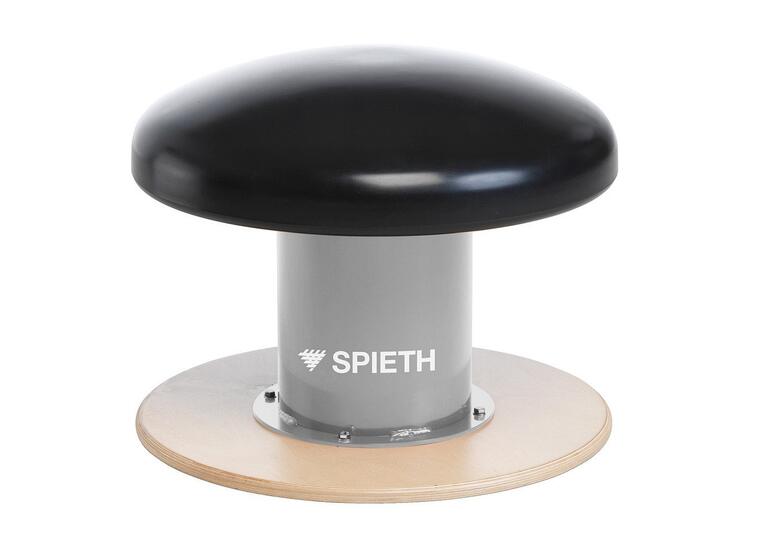 Voimistelusieni Spieth 