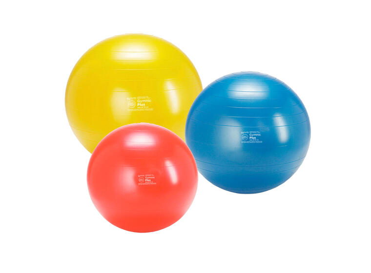 Gymnic Classic Plus 6 treningsballer av høy kvalitet 