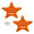 FINIS | Floatie Friends Starfish Level 3 | Uimaopetusta 