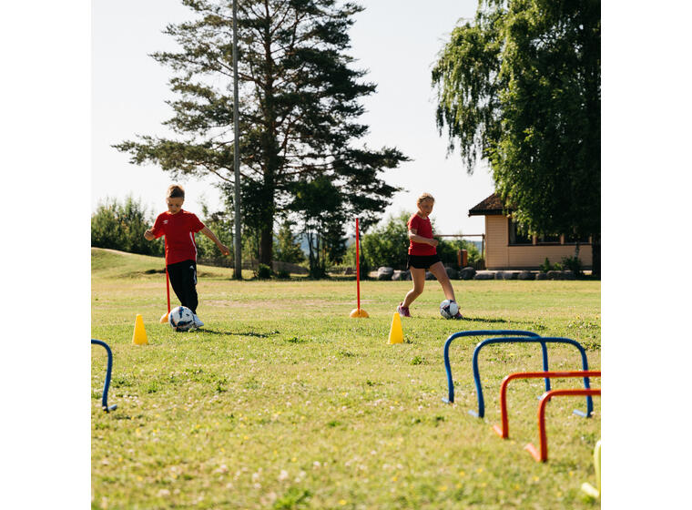Step Hurdles 30 cm 12" 