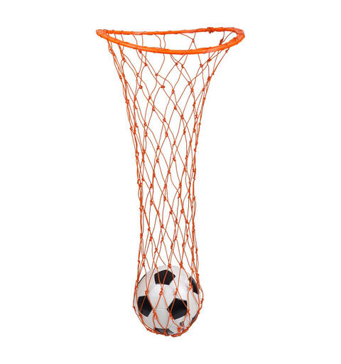 Ball Carry Net