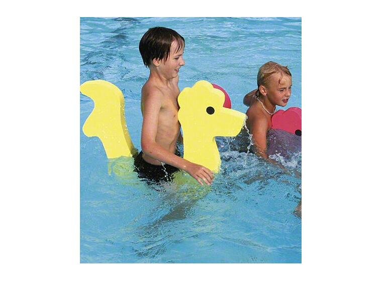 Sea Horse Water Toy 