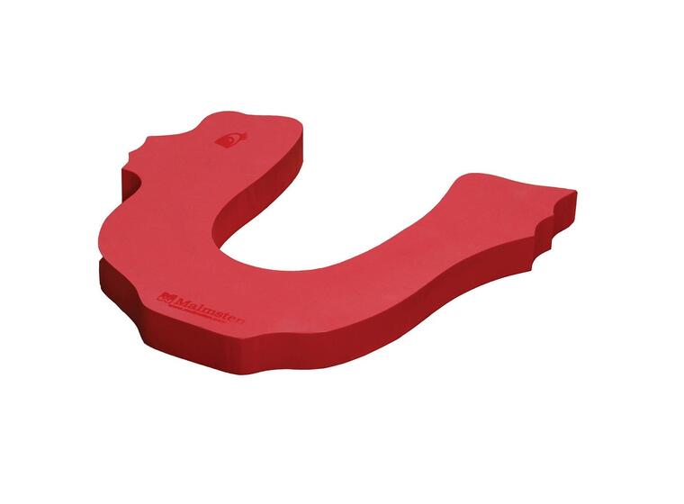 Sea Horse Water Toy 