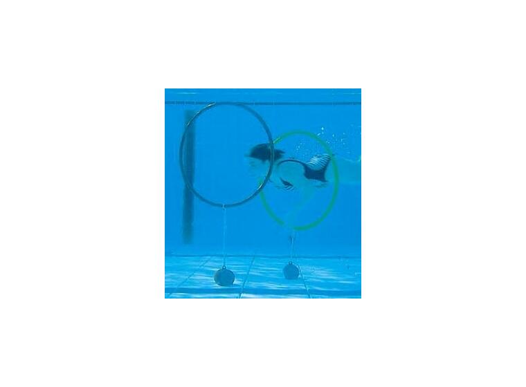 Sport-Thieme® Diving Hoop Game Set of 4 