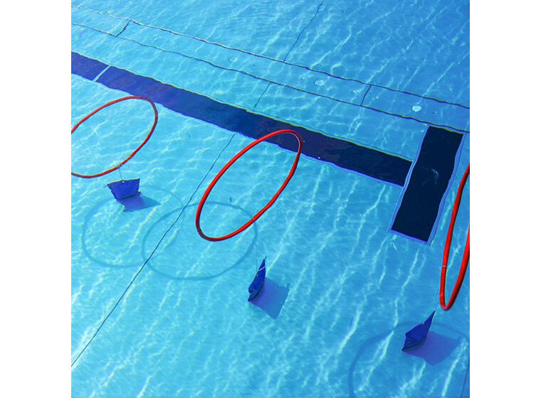 Sport-Thieme® Diving Hoop Game Set of 4 