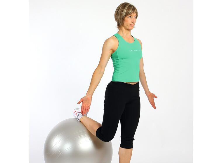 Togu® ABS® Powerball® ø 65 cm, 1,250 g 65 cm 