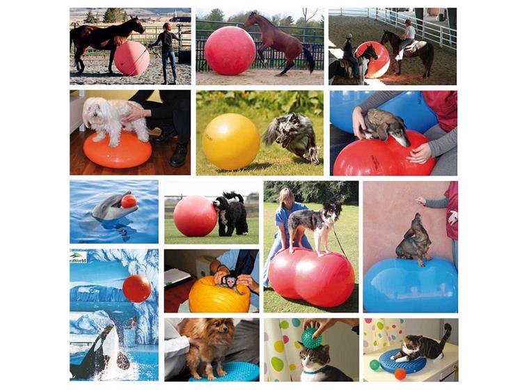 Gymnic® Fysiorulla/Peanutpallo 30 cm x 50 cm (sininen) 