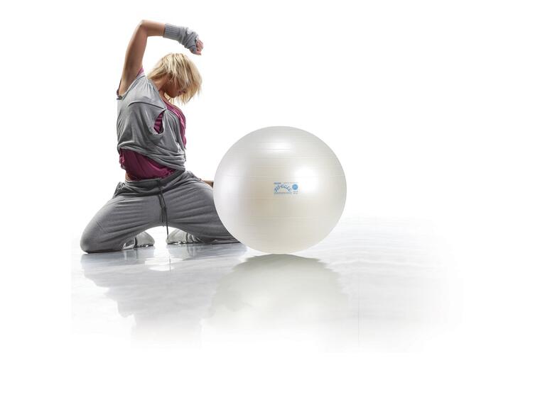 Fit-Ball 55 BRQ / WT 