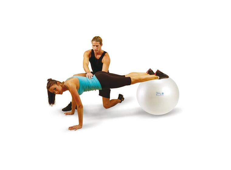 Fit-Ball 55 BRQ / WT 