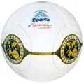Drohnn | Nyrkkipallo 65 cm | 370 g