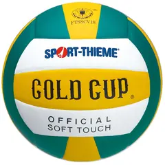 Gold Cup Volleyball