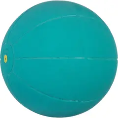 WV Medicine Ball – The  Original!