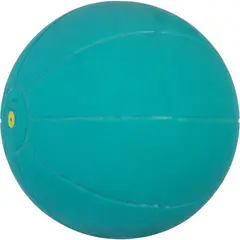 WV Medicine Ball – The  Original!