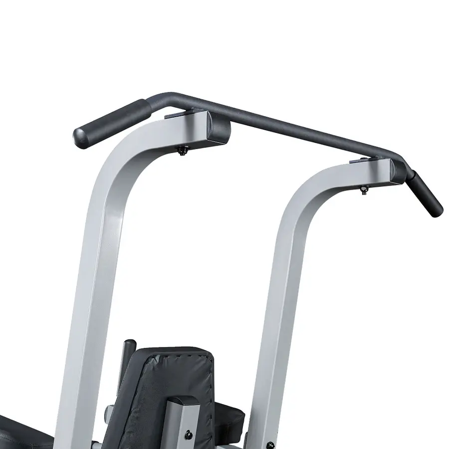 Body Solid Dips and Pull-Up  Station 