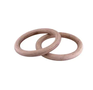 Gymnastics Rings