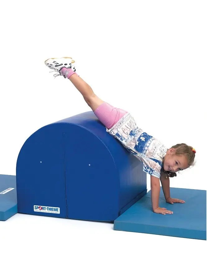 Sport-Thieme | Volttityyny 1 Mini | 1 Medi | 1 Maxi 