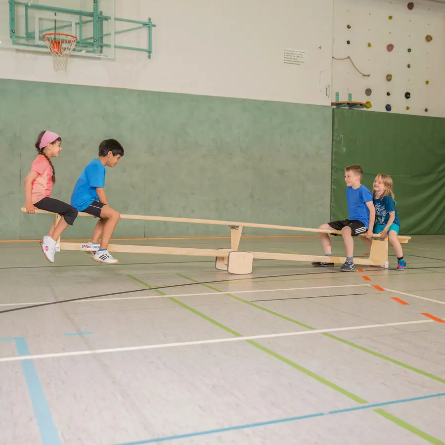Sport-Thieme Keinualusta Voimistelupenkille 
