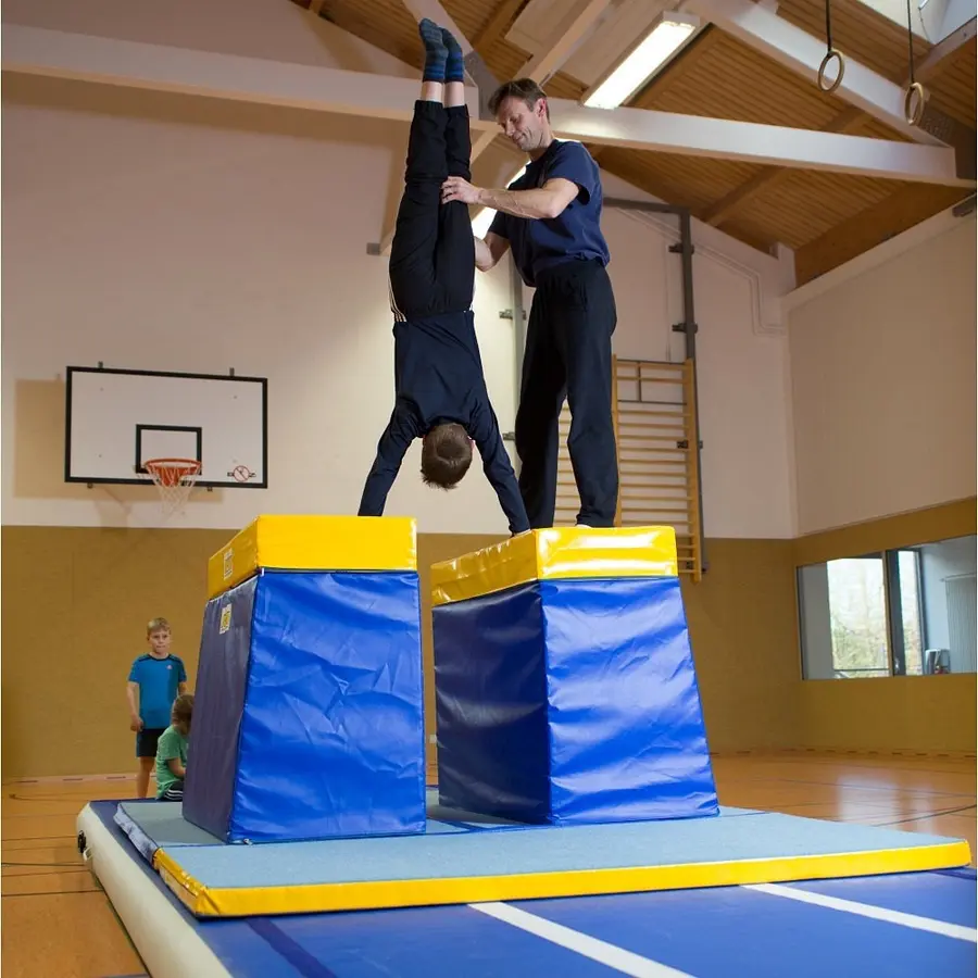 Harjoitusnojapuut Reivo® Rinogym® 120x150x80 cm 