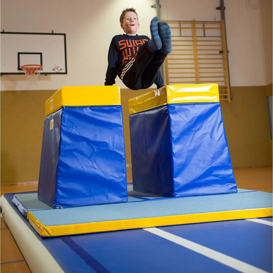 Harjoitusnojapuut Reivo® Rinogym® 120x150x80 cm 