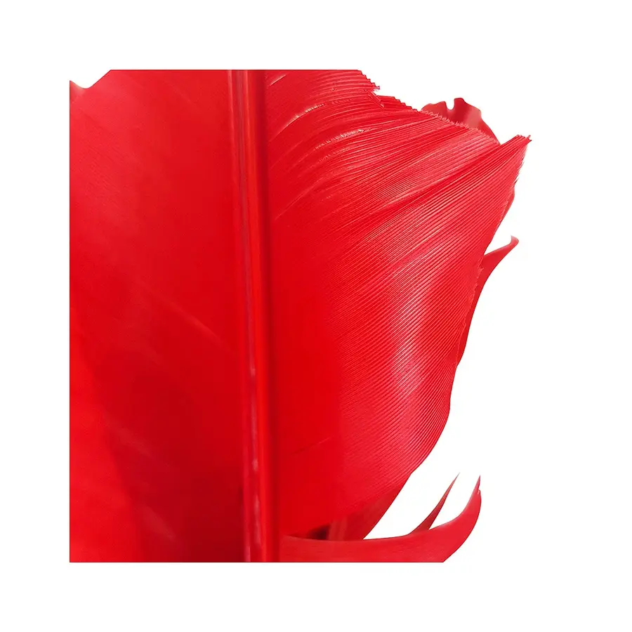 Indiaca® pallon sulka Lisäsulka Indiaca palloon 