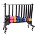 Sport-Thieme® Mobile Storage  Stand for Gym Weights, Large