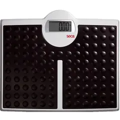 Seca® Flat Scales "813"