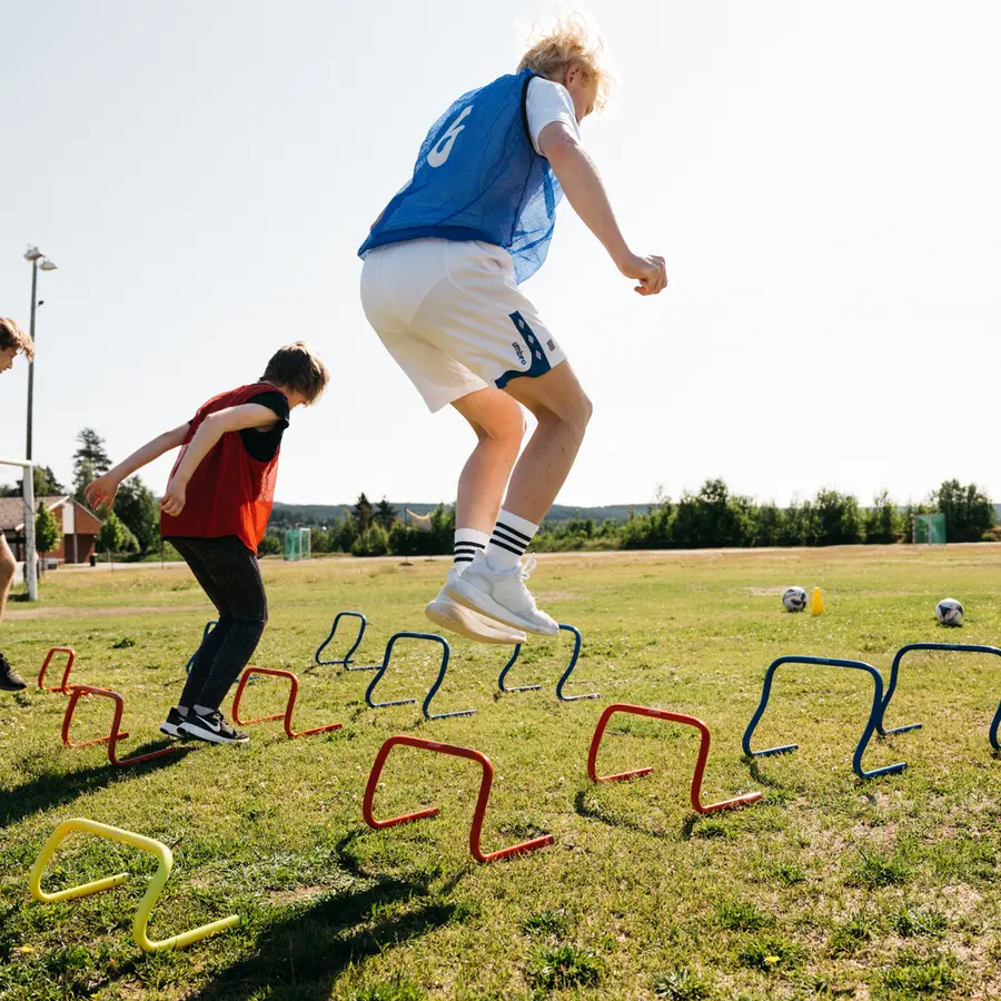 Treeni-aita mini (6 kpl) Agility hurdle 15 cm 