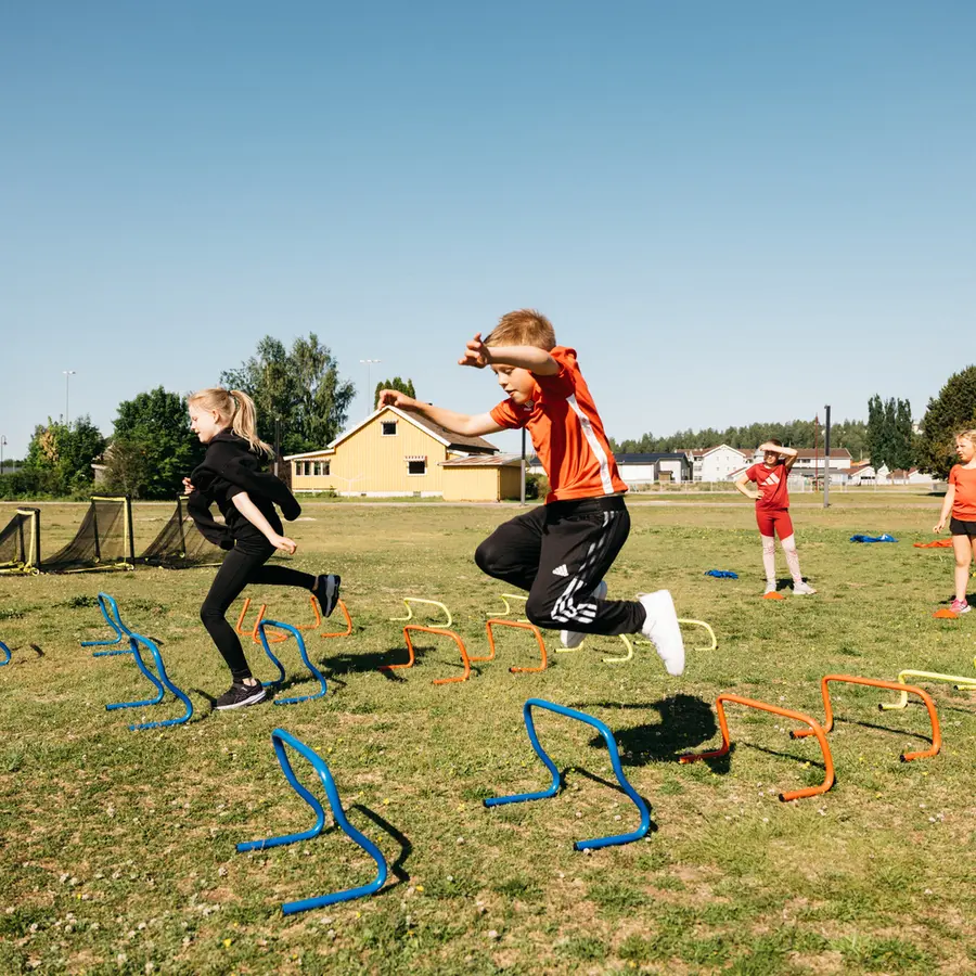Treeni-aita mini (6 kpl) Agility hurdle 15 cm 
