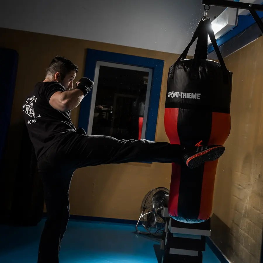 Sport-Thieme Uppercut -nyrkkeilysäkki Lyönti- ja potkutekniikka 