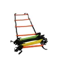 Evolution Ladder 2 m x 4