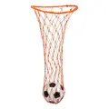 Ball Carry Net