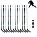 Nijdam | J&#228;&#228;kiekkomailasetti 150 cm | Left | 12 mailaa ja 6 kiekkoa