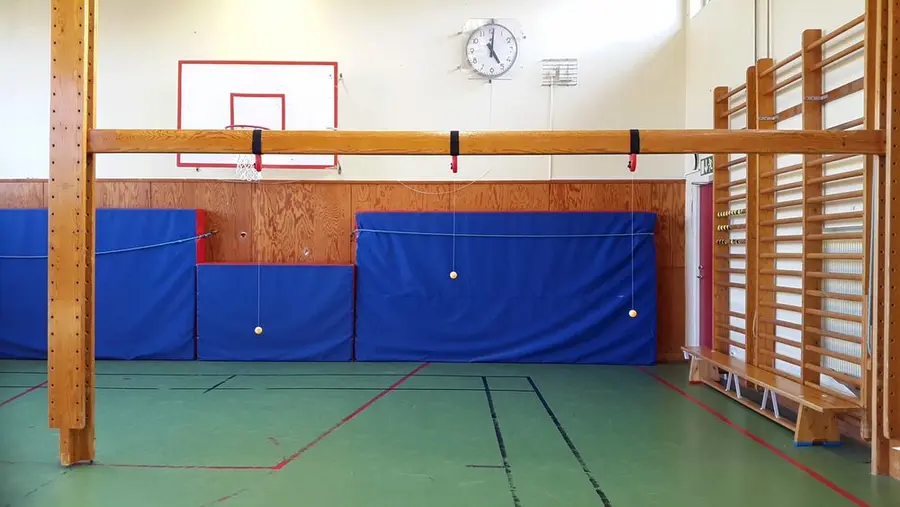 Swing Ping Pong | Pöytätennispallo Narun pituus: 0-230 cm 