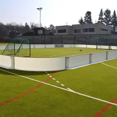 Rosco | Pallokaukalo 15x10 m