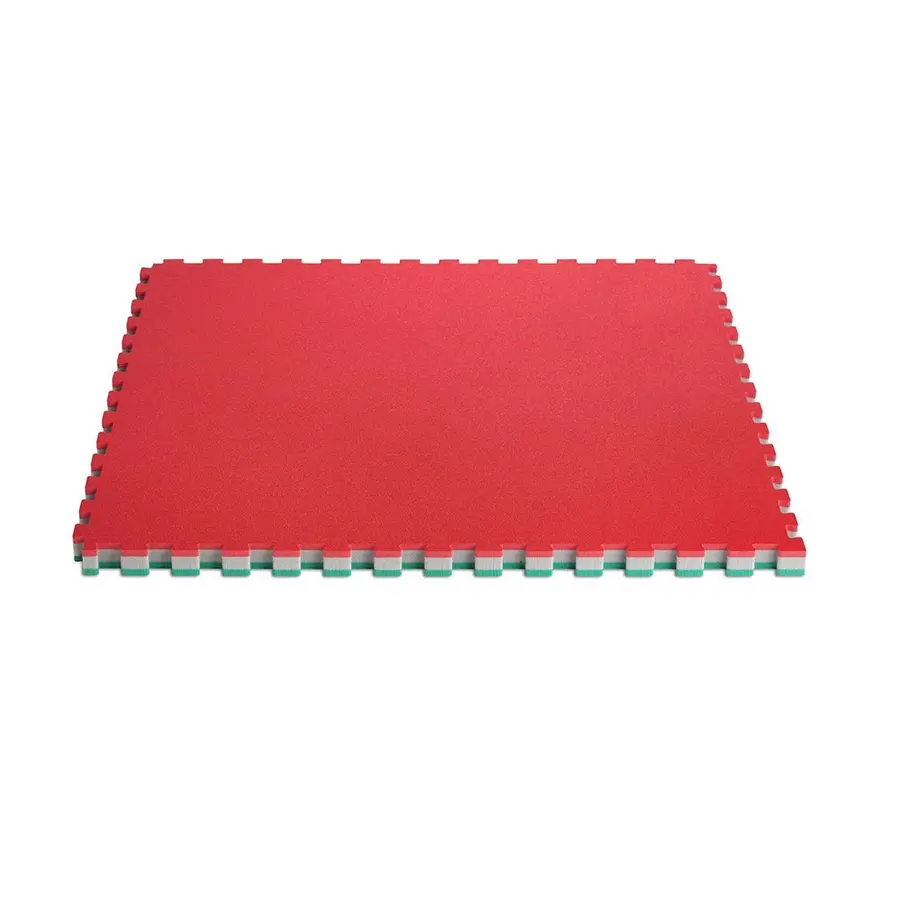 ProGame | Tatami-matto Trocellen 100 x 100 x 4 cm 